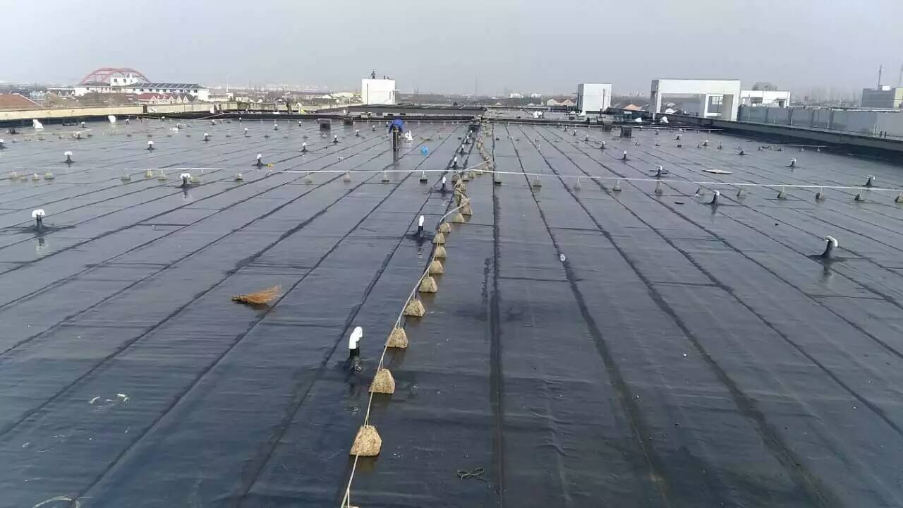 廠(chǎng)房防水工程